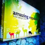 amazing republic